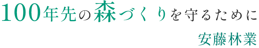 100年来の森づくりを守るために安藤林業